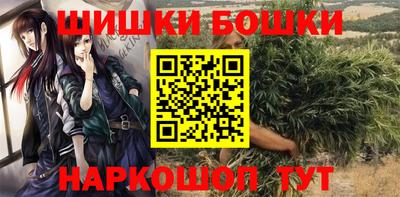 твердый Будённовск