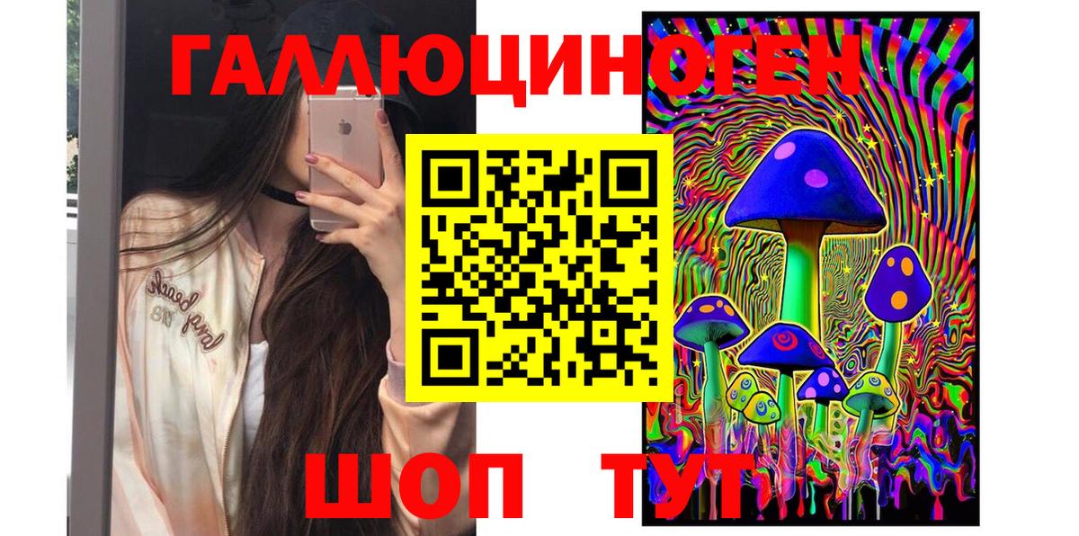 Галлюциногенные грибы Psilocybine cubensis Ростов-на-Дону